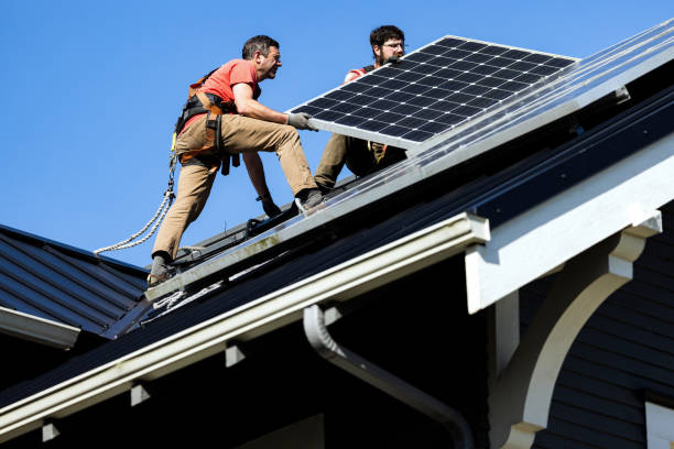 Best Roof Moss and Algae Removal  in Miller, SD